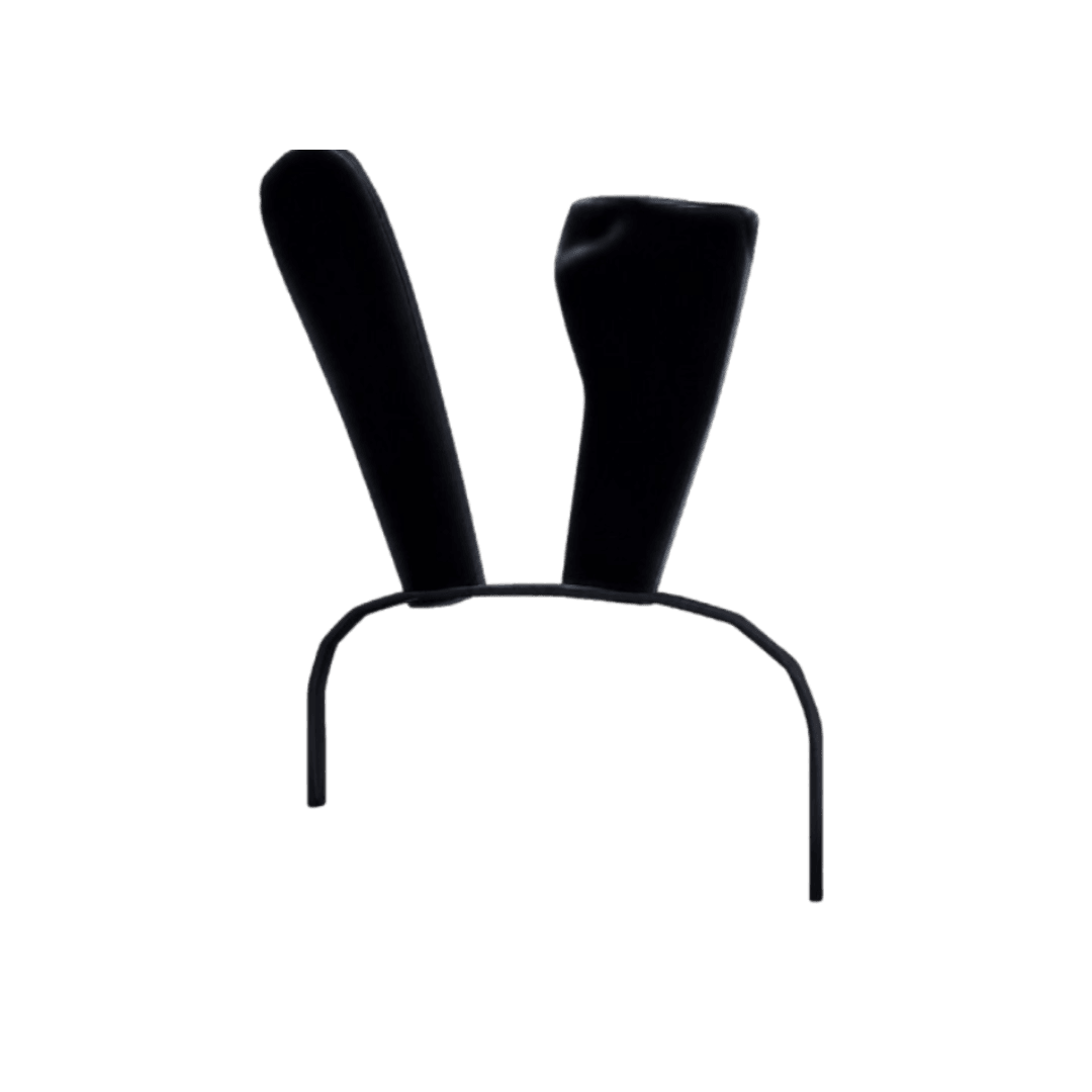 Bunny Girl Ears